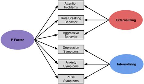 Factor Structure Of The Bifactor Model Used To Generate P Factor Scores