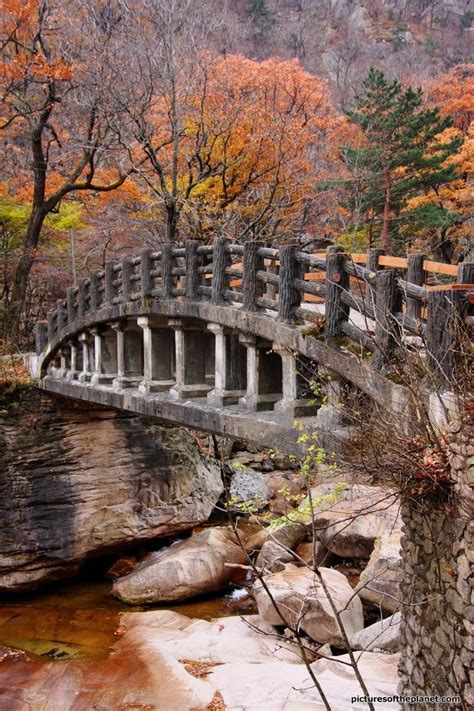 Natural Park Bridge