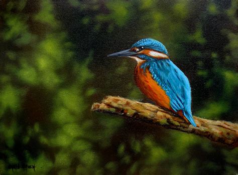 Kingfisher Painting In Oils