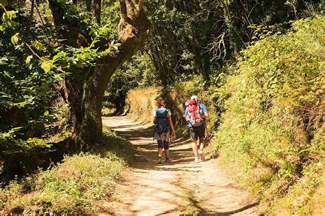 Pilgrims Along The Way Of St James Camino De Santiago Foot Countryside Photo Background And