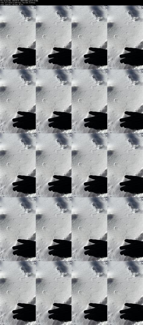 [OnlyFans] (@blondie.lilllie)