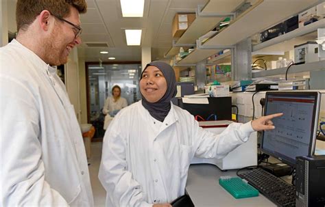 Undergraduate Faculty Of Medicine Imperial College London