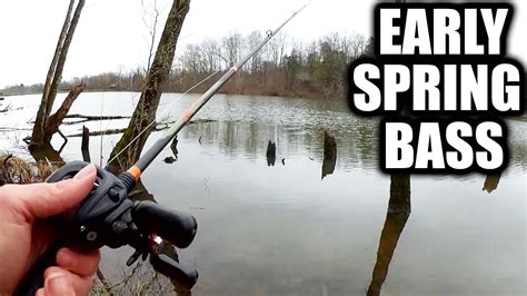 Early Spring Bass Fishing For Prespawn Bass Realistic Fishing