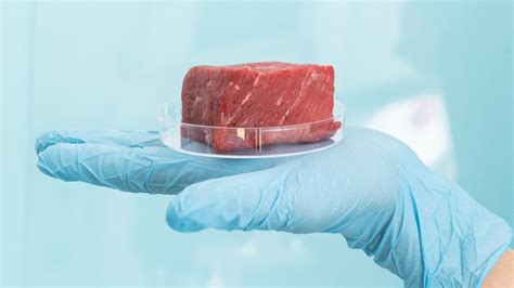 Why Some States Are Banning Lab Grown Meat