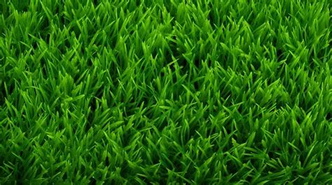 Lush Green Grass Texture A Natural High Resolution Background In 3d Grass Floor Grass Texture