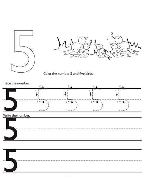 Activities for 5 Senses | Learning Printable