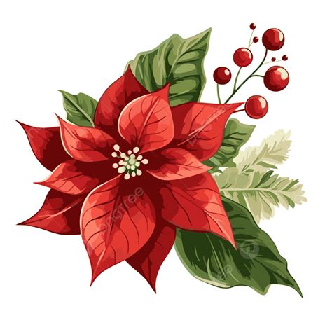 Christmas Flower Vector Sticker Clipart Red Poinsettia Flower With