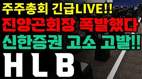 에이치엘비 주가전망 유상증자 Hlb Hlb생명과학주가 리보세라닙 Hlb주가전망 에이치엘비제약 Hlb제약 에이치엘비생명과학