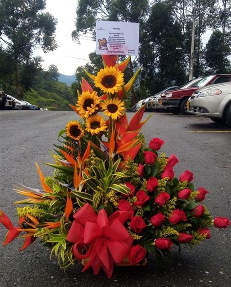 floristerias medellín laureles 24 horas EXOT 04 Floristeria medellin