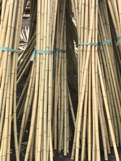 Bamboo Canes Natural Bamboo Pole Bamboo Garden Support Sticks