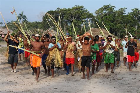 Br Sil Le Peuple Kanamari Coco Magnanville