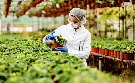 Biotecnología En La Agricultura Colombia Verde