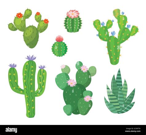 Cartoon Cactus Set Vector Set Of Bright Cacti And Aloe Colored Bright Cacti Flowers Isolated