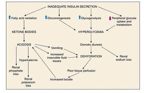 Diabetic Ketoacidosis Dka Symptoms Causes Criteria Dka