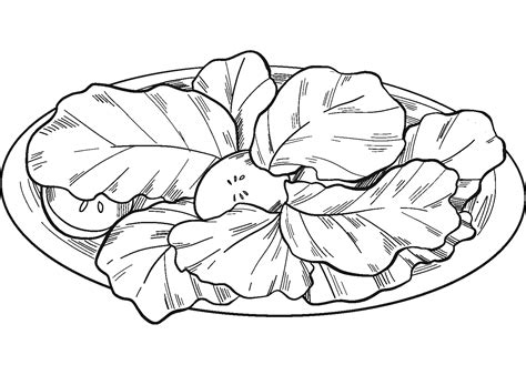 Lettuce Salad Coloring Page ColouringPages