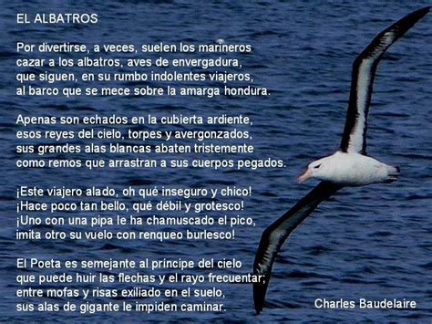 D Charles Baudelaire Las Flores Del Mal