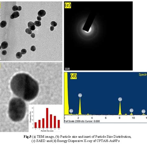 A Tem Image B Particle Size And Inset Of Particle Size