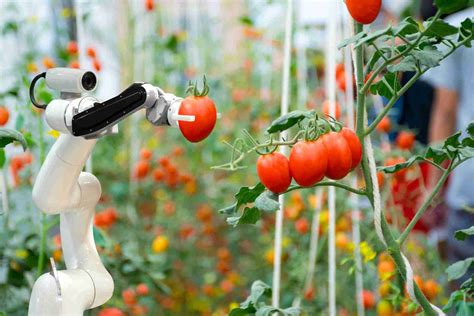 Les robots agricoles révolutionnent l agriculture 2023