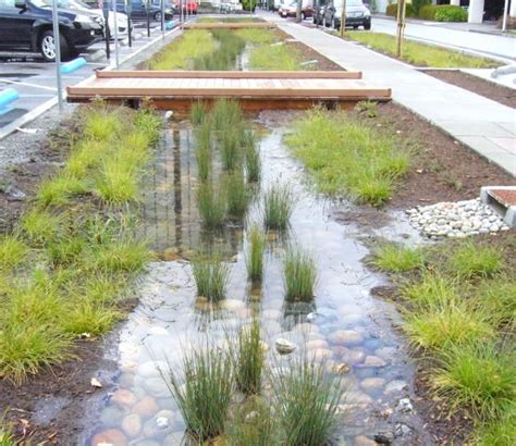 Los Jardines De Lluvia La Nueva Tendencia De Los Lugares Donde Llueve