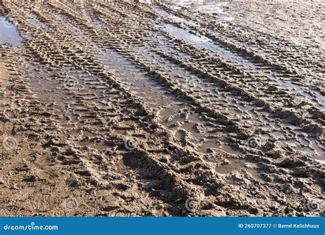 Tire tracks in the mud stock image. Image of pattern - 260707377