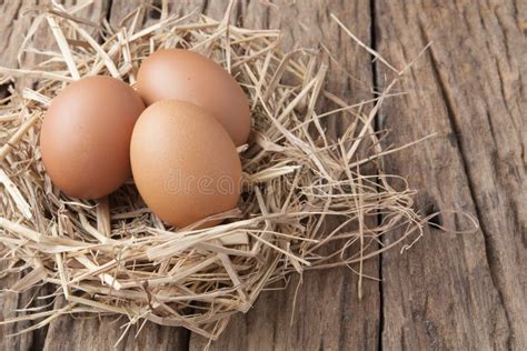 Egg In Hay Nest On Old Wooden Stock Photo Image Of Fresh Poultry