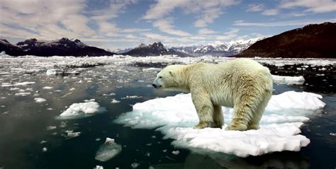 Cu L Es El Nivel Actual De Derretimiento Glacial Escuelapedia