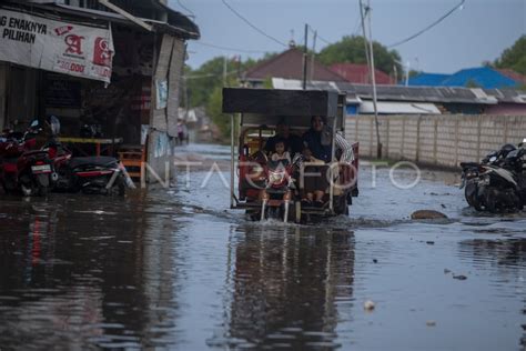 Banjir Rob Di Pesisir Indramayu ANTARA Foto