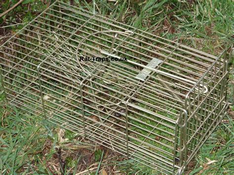 Live capture humane rat cage traps, Rat-Traps.co.uk, suppliers of live capture & humane rat traps.