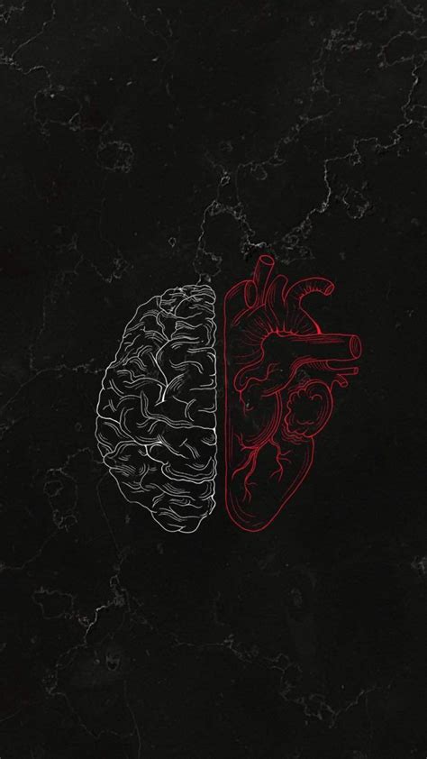 Two Halves Of The Same Brain Are Shown