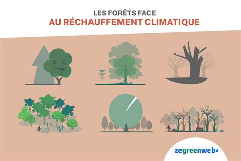 Infographie Les forêts face au réchauffement climatique