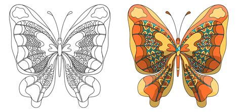 Set Butterfly Coloring Page For Adults In Zentangle Style 12858344