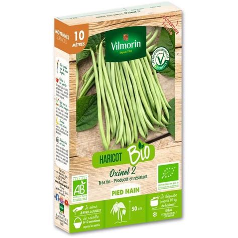 Haricot Nain Vert Sans Fil Oxinel 2 Bio 10m Vilmorin Cdiscount Jardin