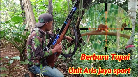 Kompilasi Full Shot Berburu Tupai Dengan Unit Ajs Aris Jaya Sport