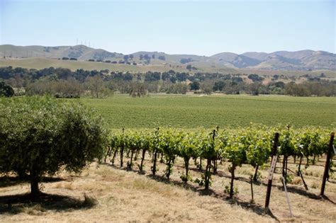 Livermorevalleywinetastingcaliforniatravel Visit Tri Valley