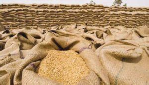 Wheat Import Scandal Inquiry Committee To Submit Report To Prime