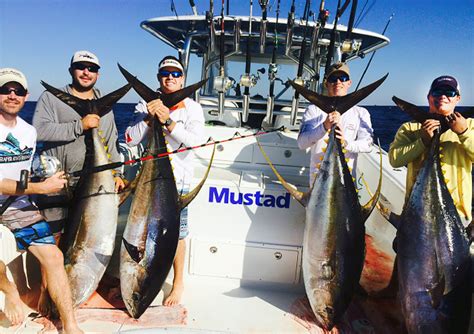 Yellowfin Tuna And Pro Gear In Venice Louisiana