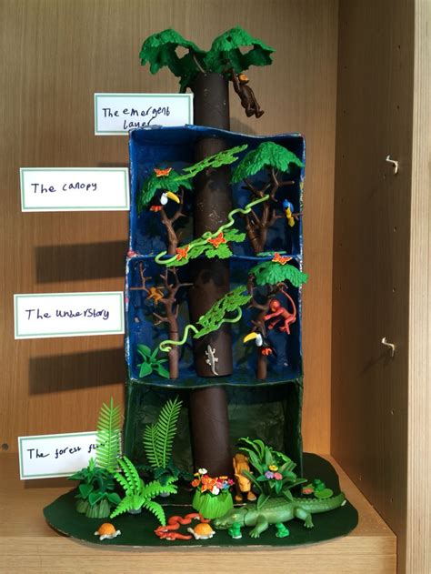 Rainforest In A Shoebox Rainforest Activities Rainforest Project Rainforest Theme