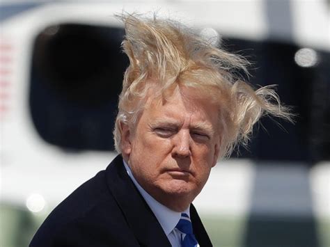 Some Trump Hair Wind Design Ideas - Human Hair Exim