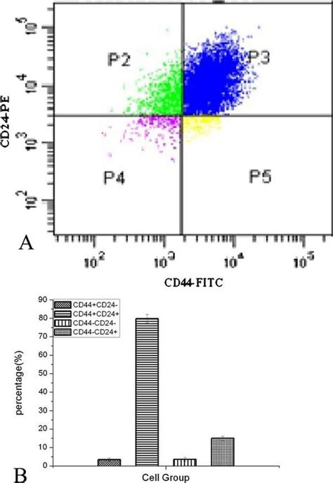 Cd24 Antibody Pe 12 0247 42