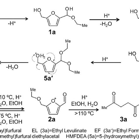 Mechanistic pathways for observed products during etherification of ...