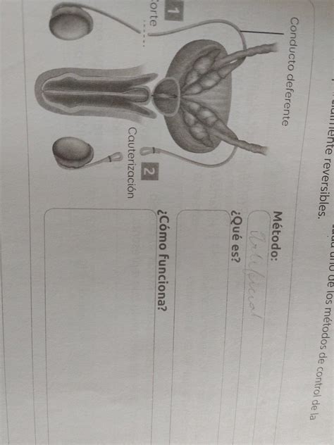 Ayudaaaaa Porfa Alguien Que Me Lo Resuelva Brainly Lat