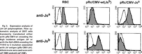 Figure From Identification Of A Defect In The Intracellular