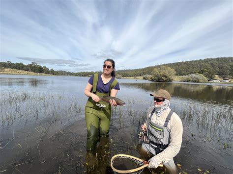 Tasmania Fly Fishing Trout Guides Lodges Tasmania