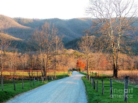 Spring At Cades Cove In The Great Smoky Mountains Photograph By Roe Rader