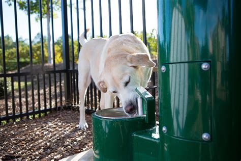 Dog Park Water Fountain | Fido Fountain