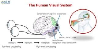 Elements Of Visual Perception Pptx