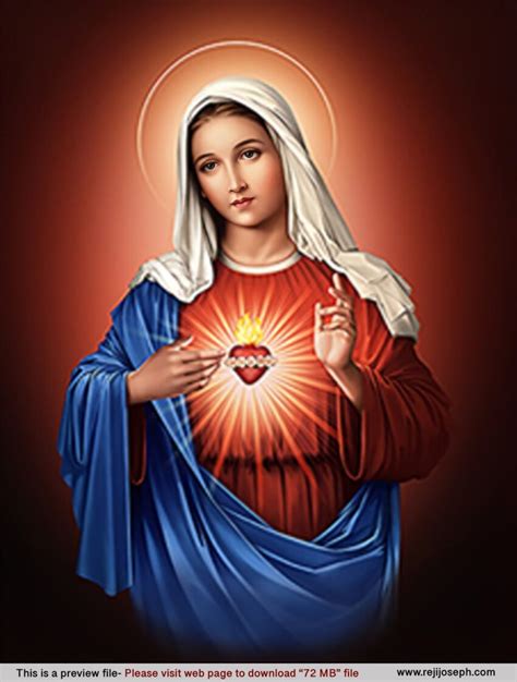 Immaculate Heart Of Mary Felician Sisters