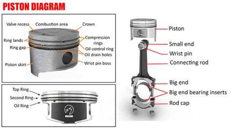 Piston Diagram Pistons Oil Control Products Automotive Repair