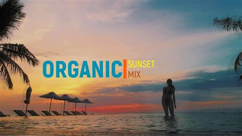 ORGANIC HOUSE MIX SUNSET DEEP HOUSE MIX RELAXING MUSIC YouTube