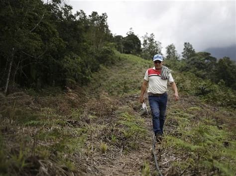 35 Excombatientes De Las Farc Se Formarán Como Guías Turísticos